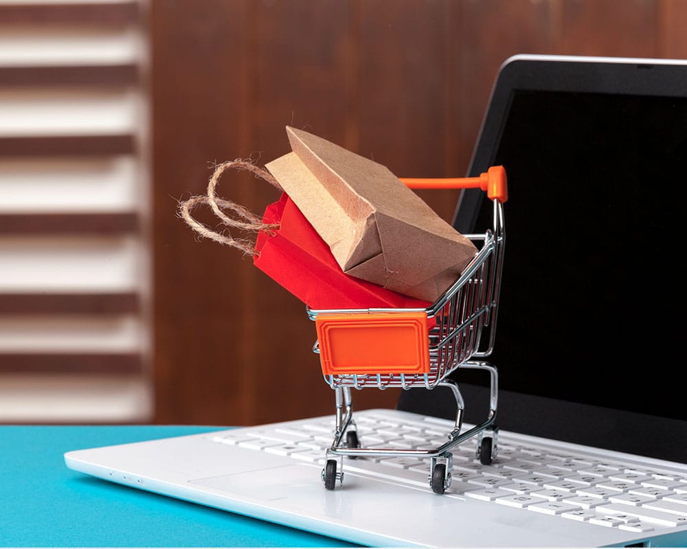 Povečanje prodaje z SEO optimizacijo in spletnim oglaševanjem – Digitalna agencija Rapido